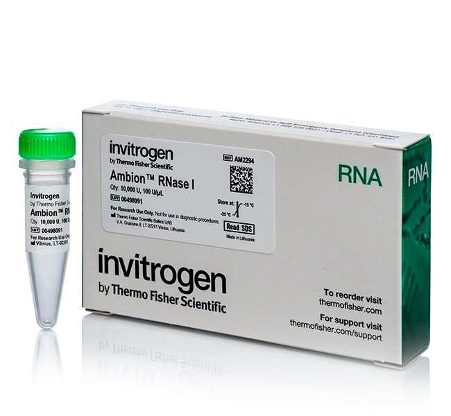 Ambion RNase I、克隆、100 U/&micro;L