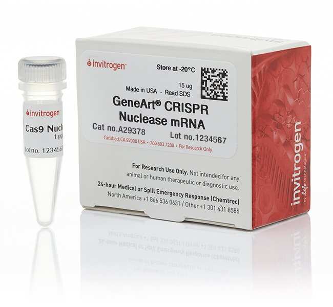 GeneArt CRISPR 核酸酶 mRNA
