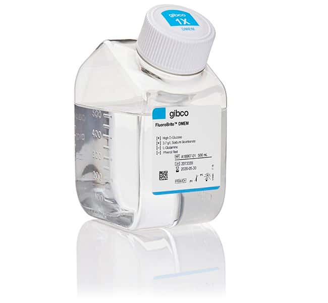 FluoroBrite DMEM
