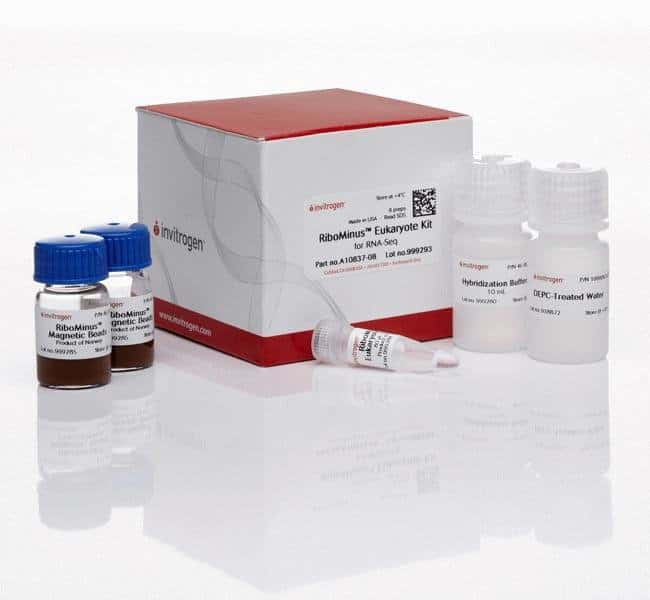 用于 RNA-Seq 的 RiboMinus 真核细胞试剂盒