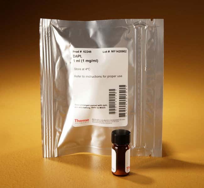 DAPI 细胞核染料 (1 mg/mL溶液)