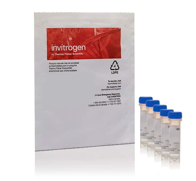 LysoTracker深红色活细胞溶酶体染料 5×50 uL