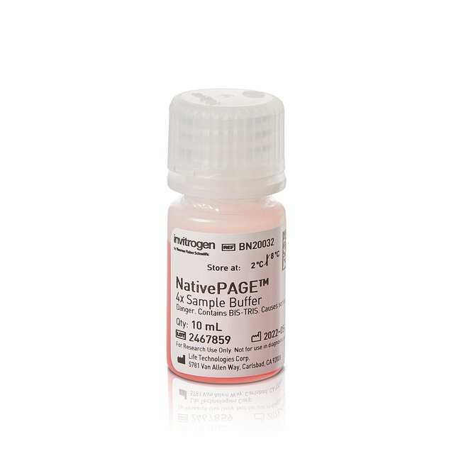NativePAGE 样品缓冲液 (4X)