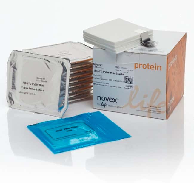iBlot 2 转印膜组，PVDF，小型