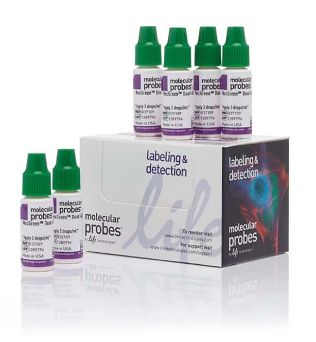 NucGreen Dead 488 ReadyProbes 试剂 (SYTOX Green)