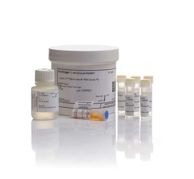 Quant-iT RiboGreen RNA 定量试剂盒