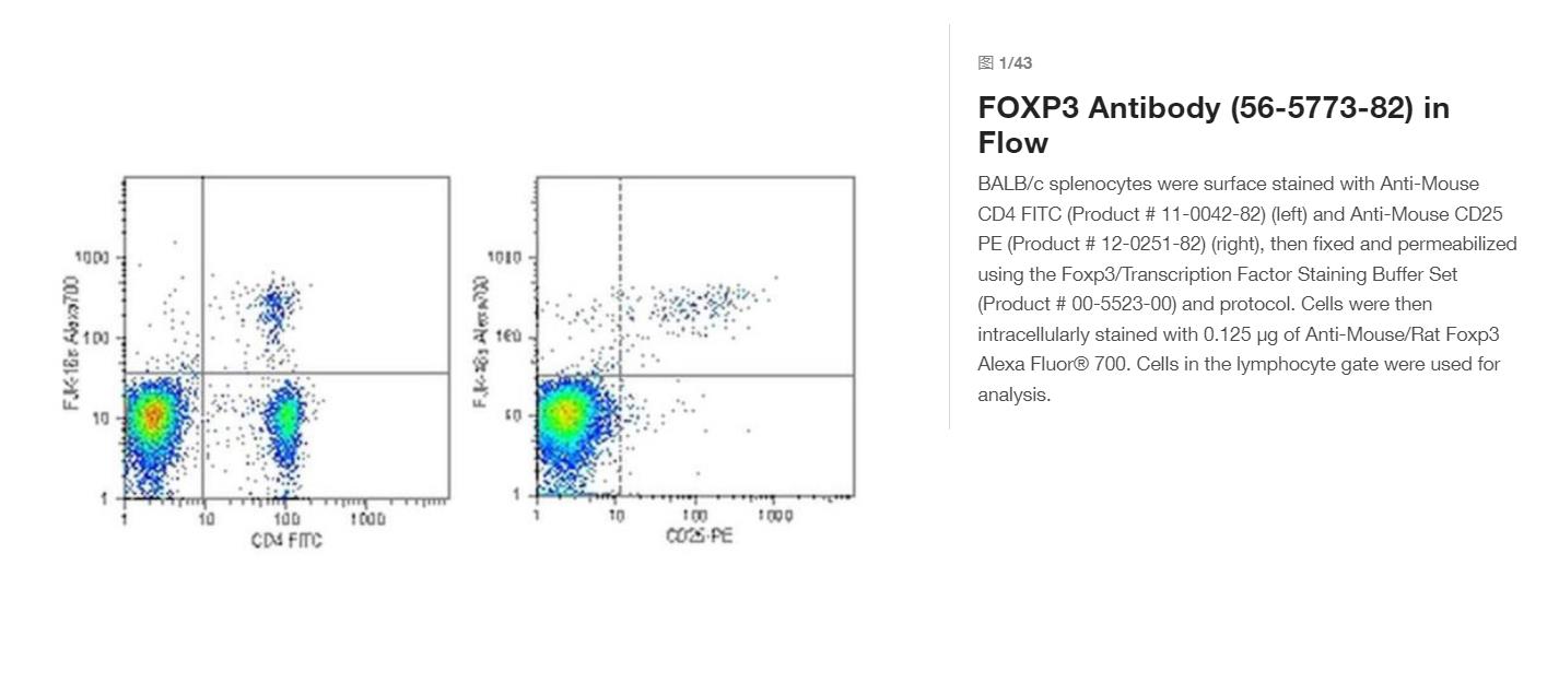 FOXP3 Monoclonal Antibody (FJK-16s), Alexa Fluor™ 700, eBioscience™