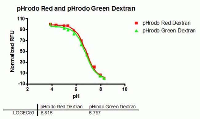 pHrodo Red Dextran，10,000 MW，用于内吞作用分析