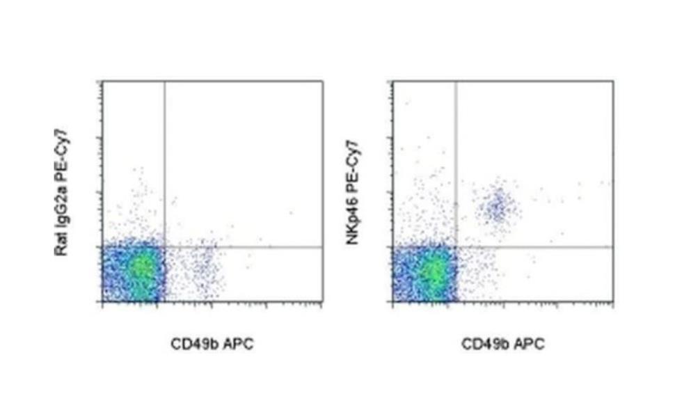 CD335 (NKp46) Monoclonal Antibody (29A1.4), PE-Cyanine7, eBioscience™