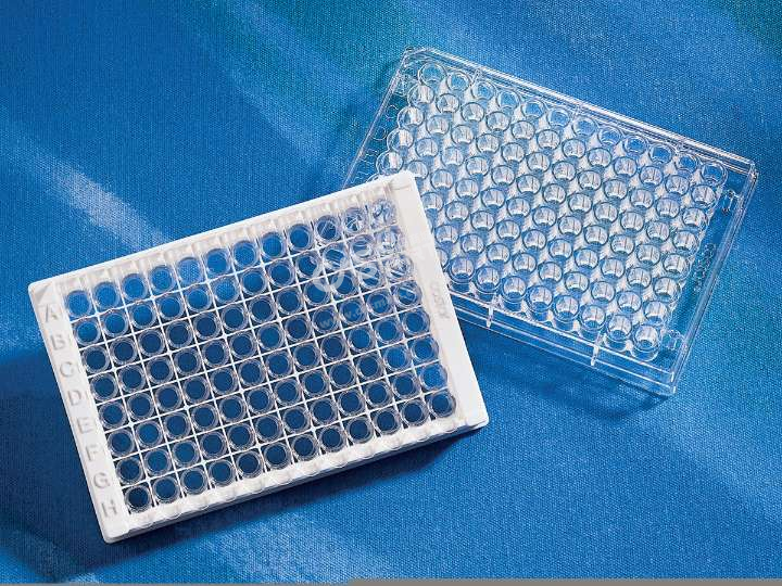 96孔板,dna结合表面,平底,透明,ps(聚苯乙烯)材质,无盖