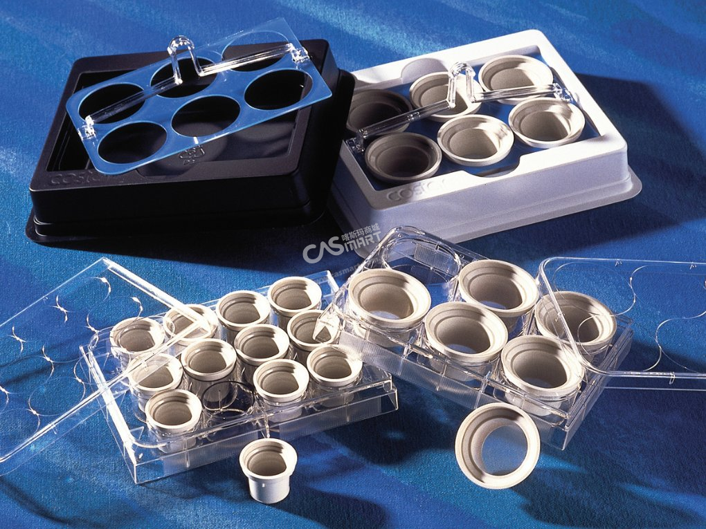 netwell试剂盘 白色 单个包装 未灭菌