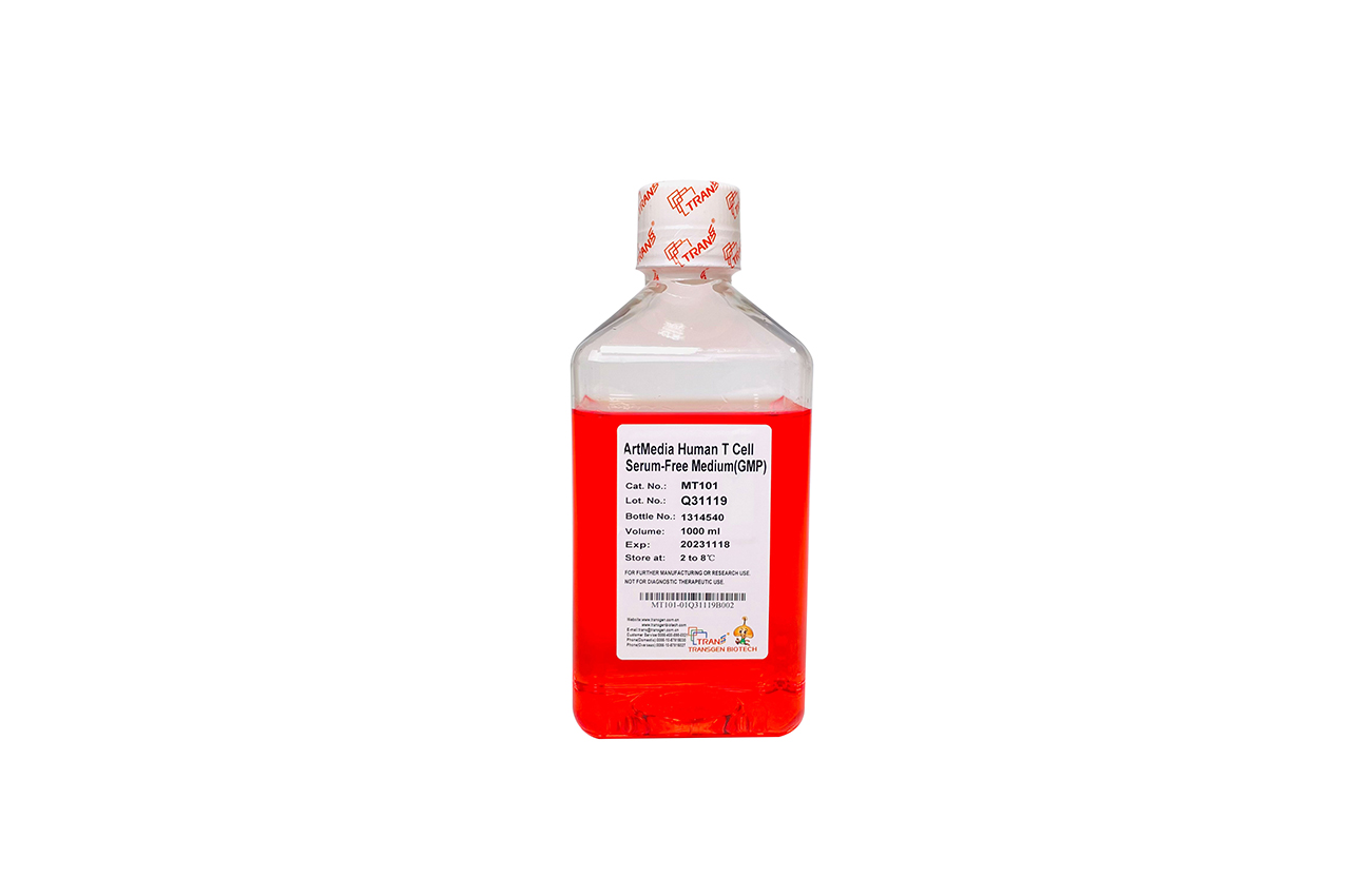 ArtMedia® Human T Cell Serum-Free Medium (GMP Grade)  GMP级T细胞无血清培养基（含酚红）