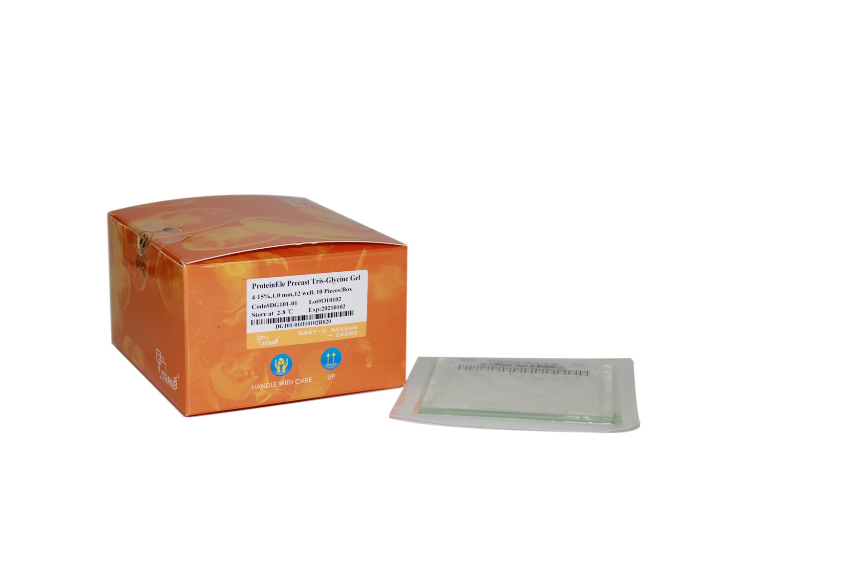 ProteinEle® Precast Tris-Glycine Gel（4-20%）