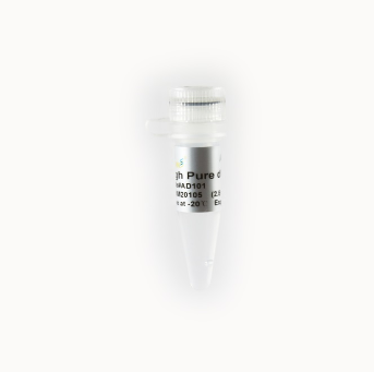 Lysis Buffer 2 (LB2)