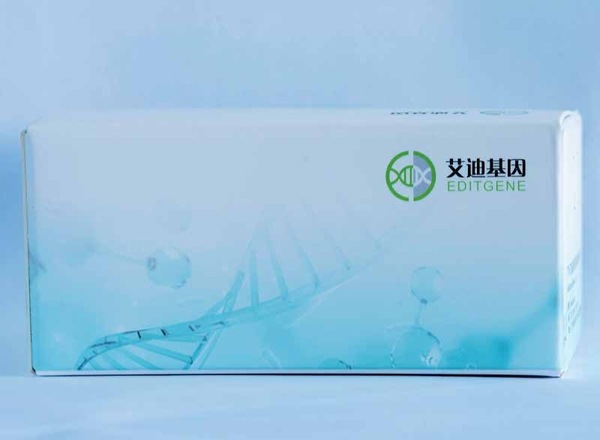 DNA恒温扩增试剂盒（基础型）