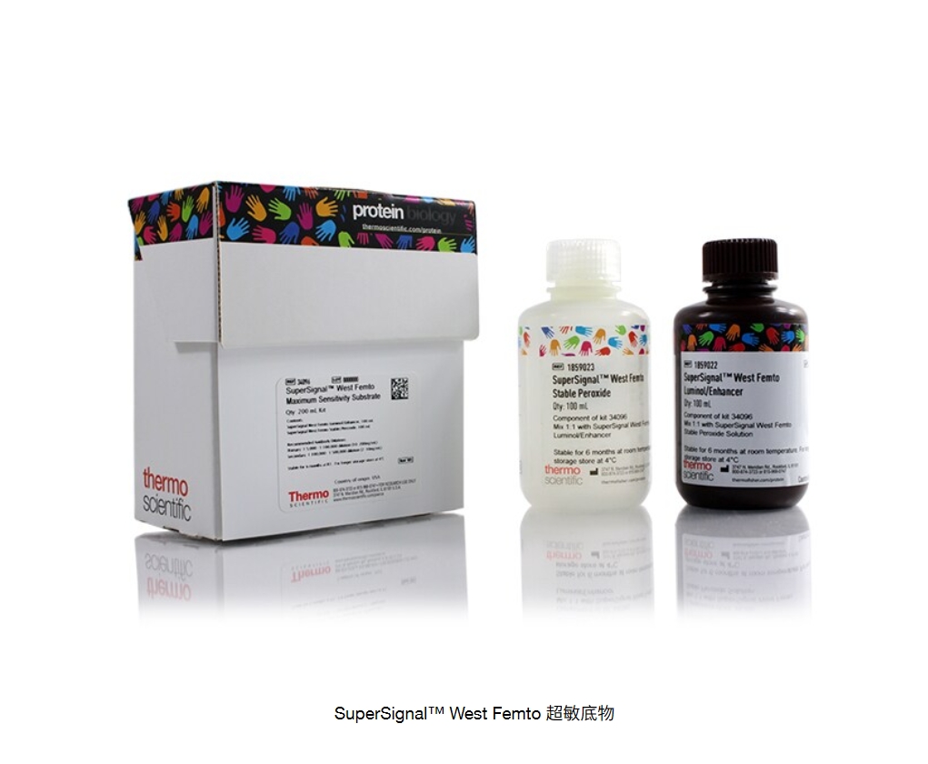 SuperSignal™ West Femto 超敏底物