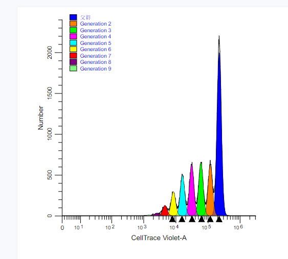 OT-I-celltrace 体内T细胞增殖