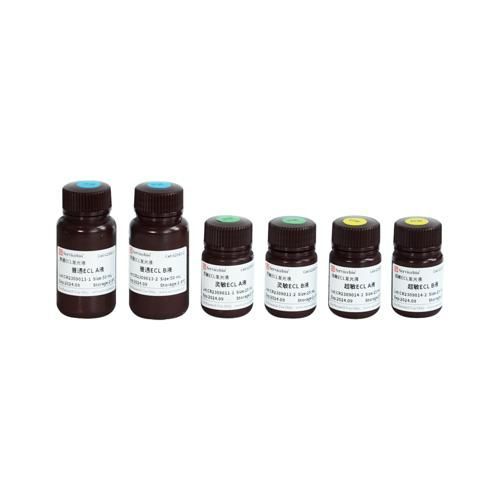 Servicebio/赛维尔 ECL发光液组合装 200 mL G2161-200ML