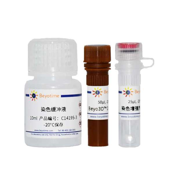 Beyo3D™细胞膜绿色荧光染色试剂盒(DiO)