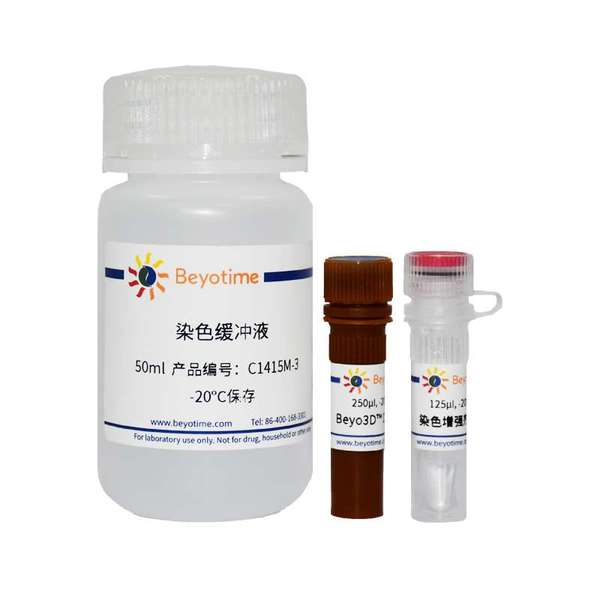 Beyo3D™细胞膜红色荧光染色试剂盒(DiI)
