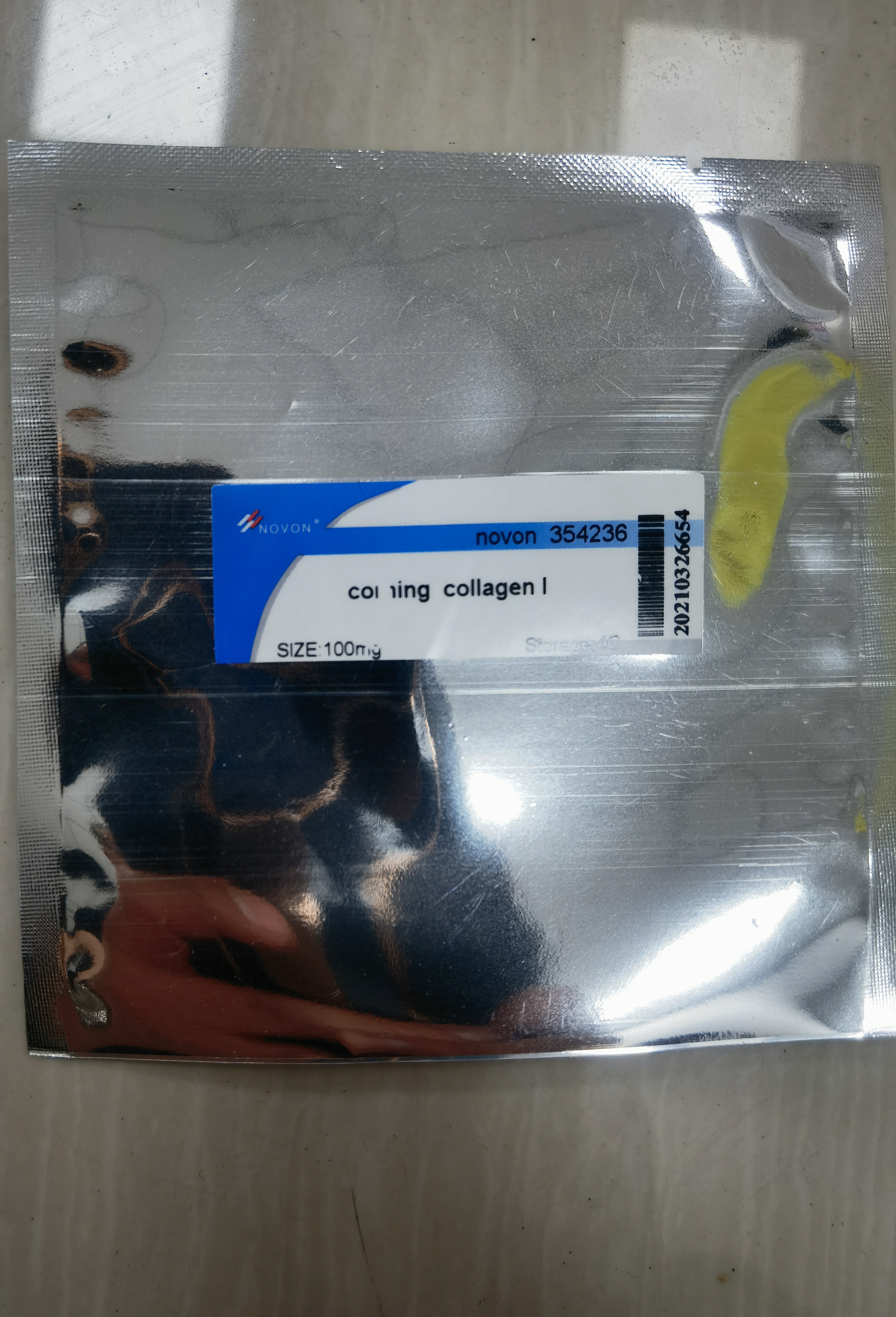 鼠尾胶原I