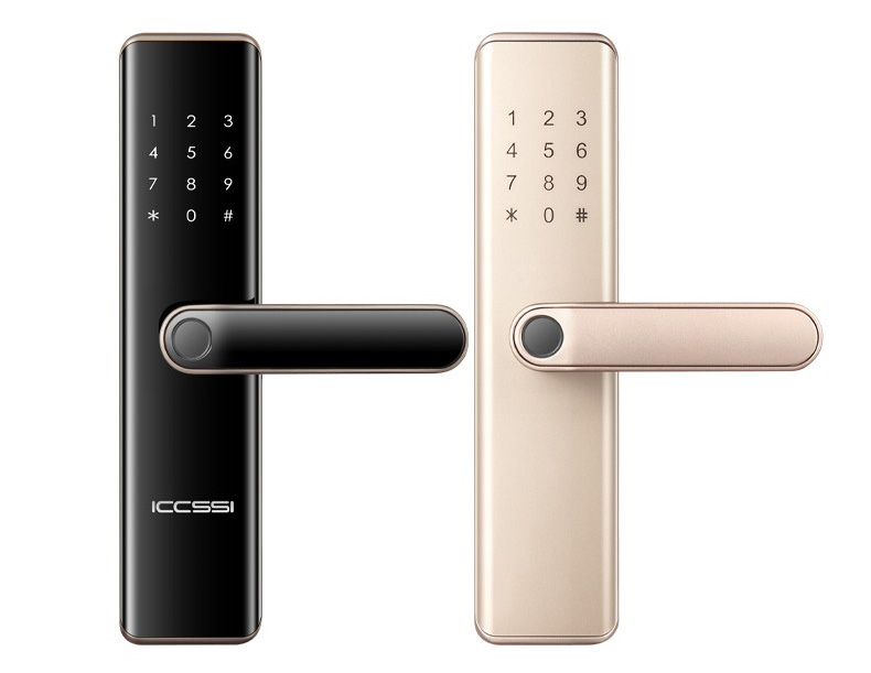 1616052893489482.jpg ia_200000061.jpg