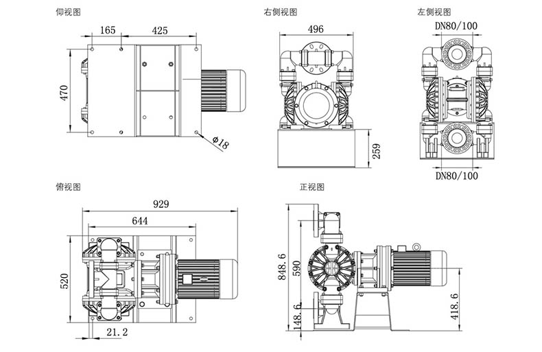 ZBV893_03.jpg