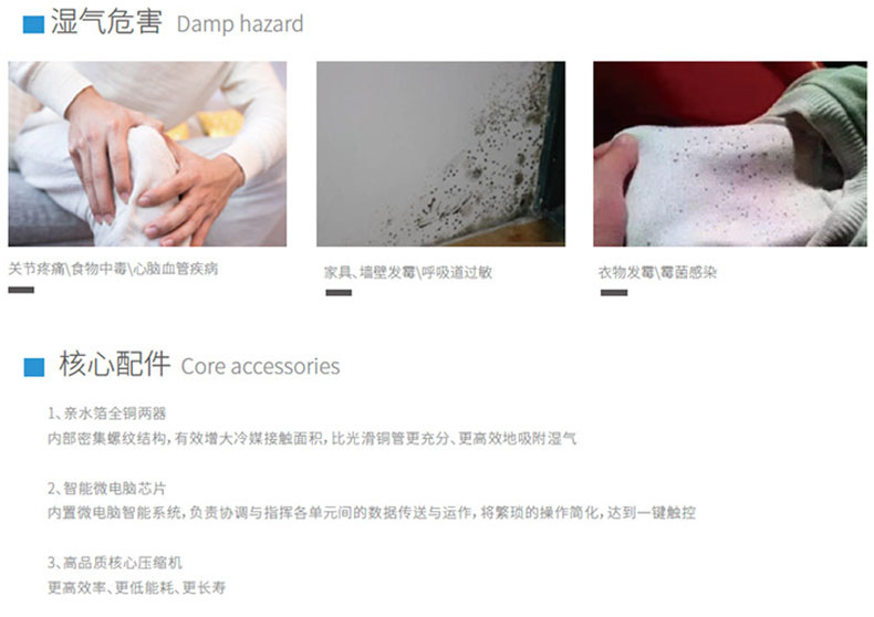 1672970051135856.jpg 特点.jpg