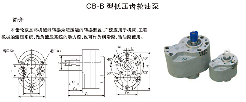 1615340397843687.jpg 介绍.jpg