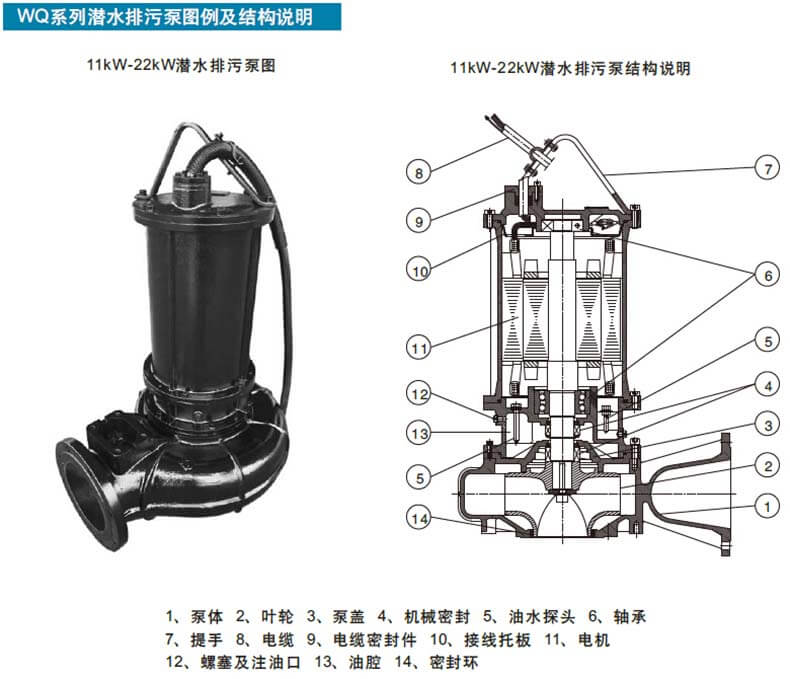 细节1.jpg