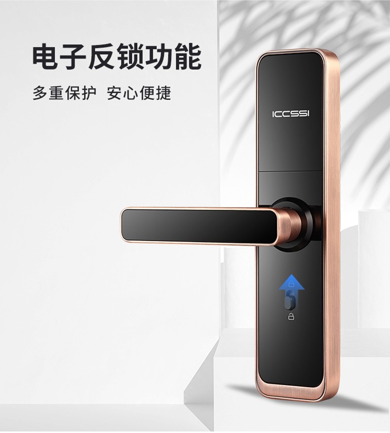 1616052915828253.jpg ia_200000058.jpg