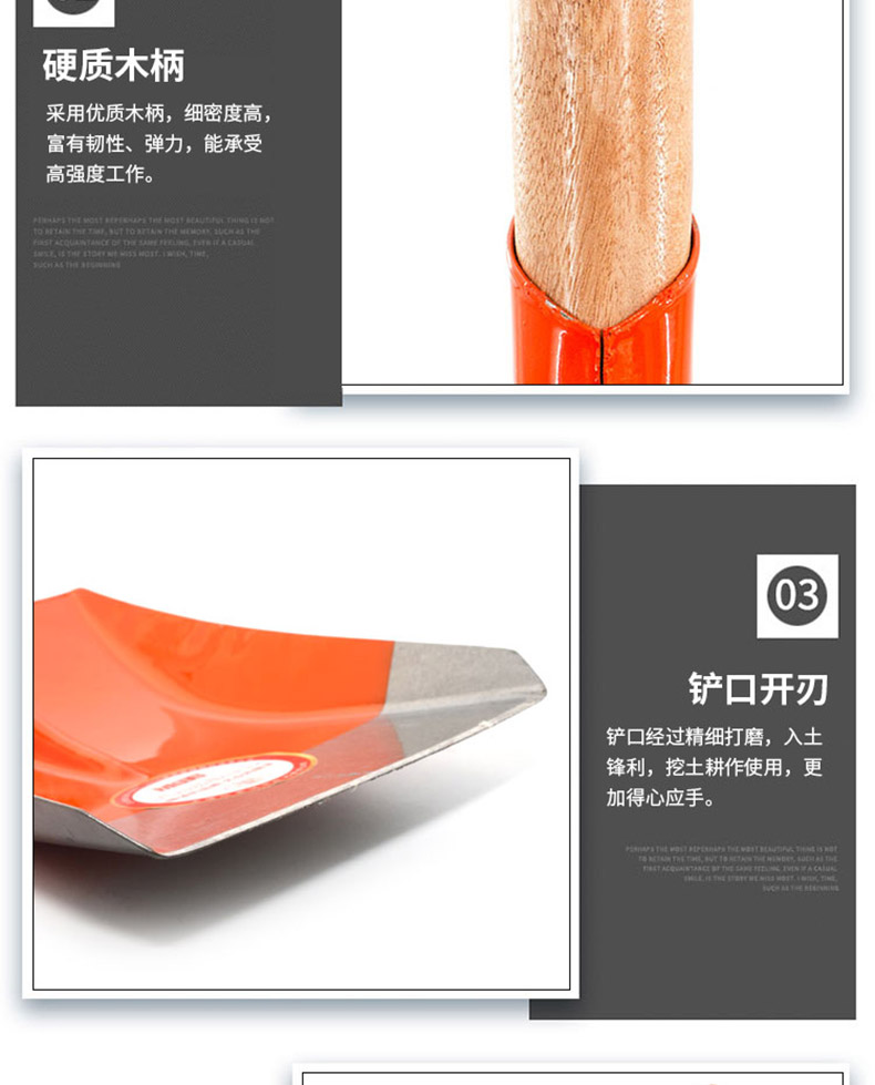 ia_2900000190.jpg