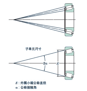 大介绍.jpg