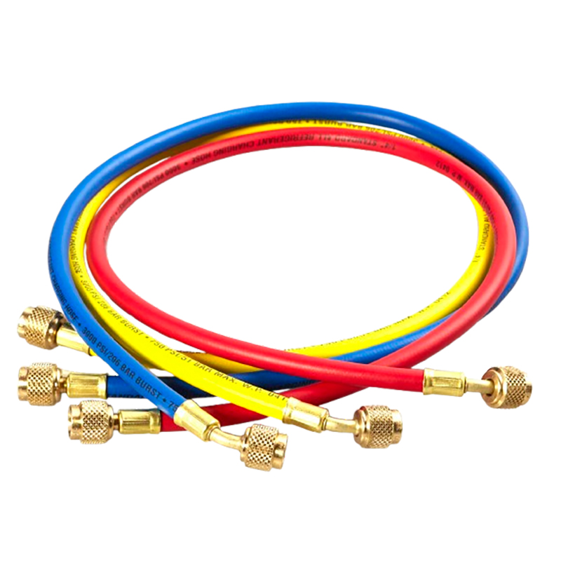 图片1_1_-removebg-preview 拷贝.jpg