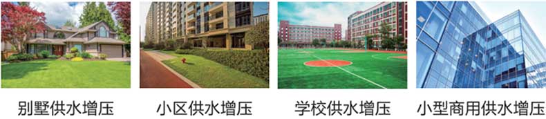 1703223333481467.jpg 应用.jpg