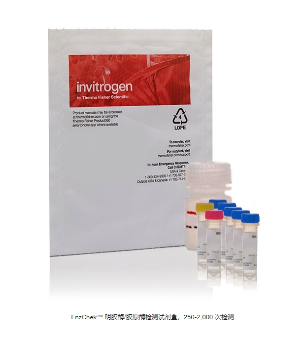 EnzChek™ 明胶酶/胶原酶检测试剂盒，250-2,000 次检测