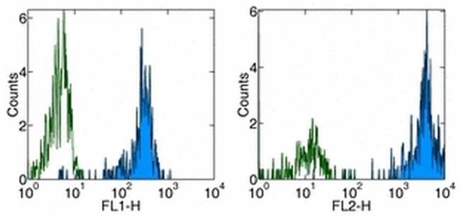 CD31 (PECAM-1) Monoclonal Antibody (WM-59 (WM59)), eBioscience