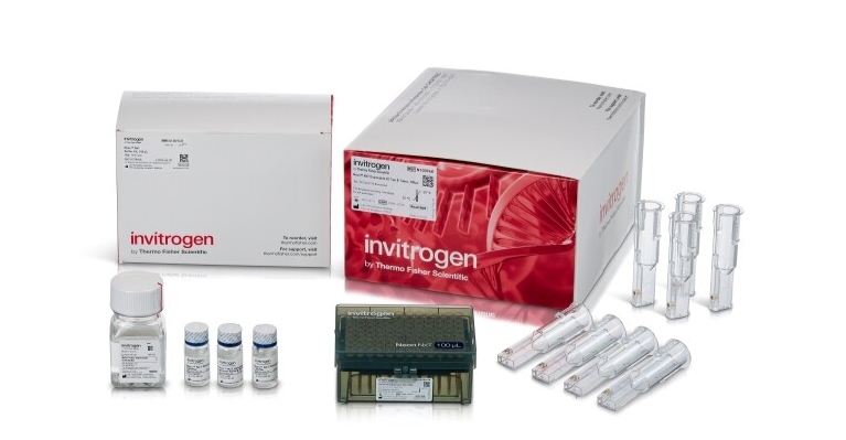 Neon™ NxT Electroporation System 100-µL Kit