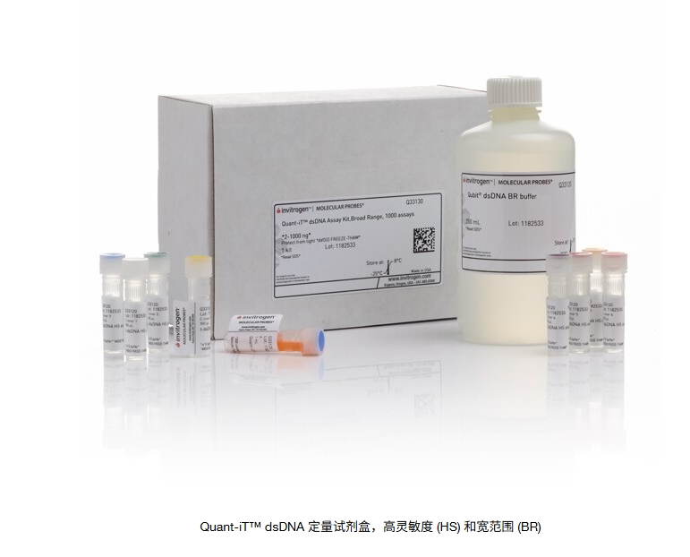 Quant-iT™ dsDNA 定量试剂盒，高灵敏度 (HS) 和宽范围 (BR)