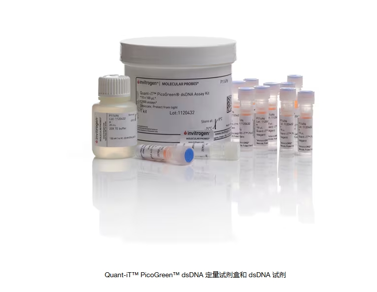 Quant-iT™ PicoGreen™ dsDNA 定量试剂盒和 dsDNA 试剂