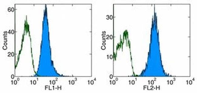 CD98 Monoclonal Antibody (RL388), PE, eBioscience
