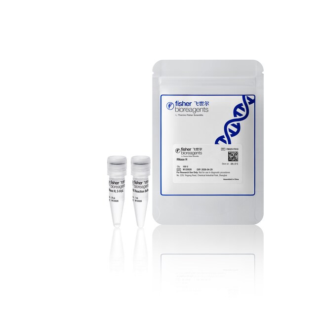 RNase H, 100 单位