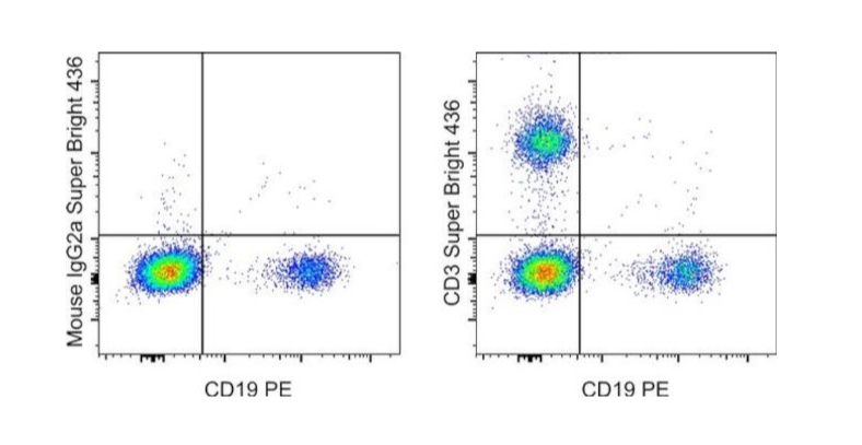 CD3 Monoclonal Antibody (OKT3), Super Bright™ 436, eBioscience™