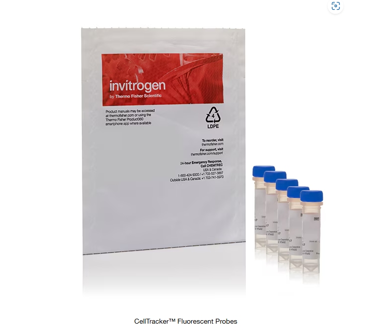 CellTracker™ Fluorescent Probes