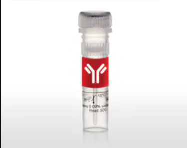 CLCN3 Monoclonal Antibody (N258/5), PerCP