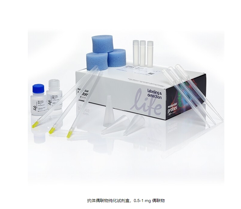 抗体偶联物纯化试剂盒，0.5-1 mg 偶联物