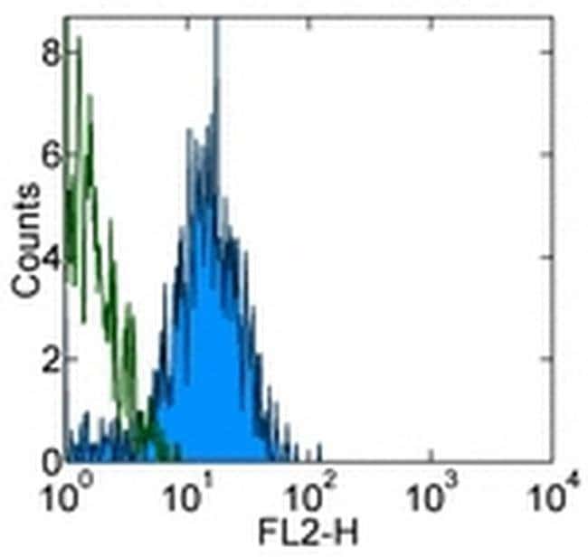 CD144 (VE-cadherin) Monoclonal Antibody (eBioBV13 (BV13)), eBioscience