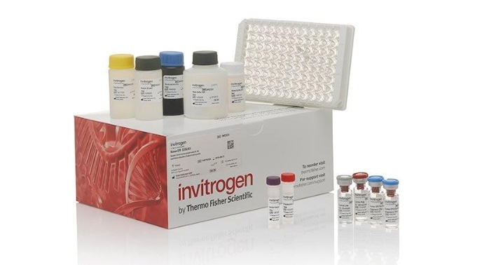 Human GLP-1 ELISA Kit