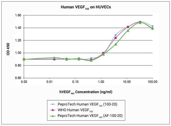 Human VEGF-165, Animal-Free Recombinant Protein, PeproTech&reg;