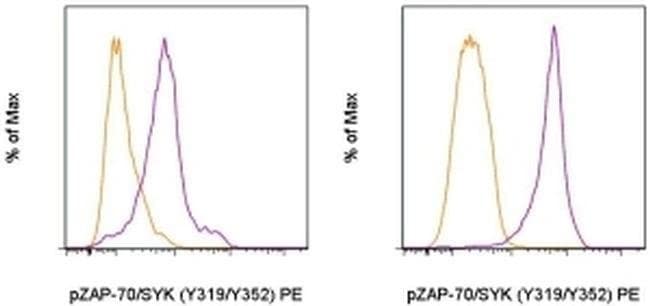 Phospho-ZAP70/Syk (Tyr319, Tyr352) Monoclonal Antibody (n3kobu5), PE, eBioscience